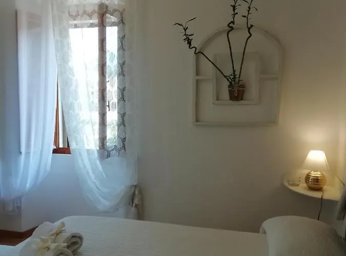 Le Pinelle * Τέρνι